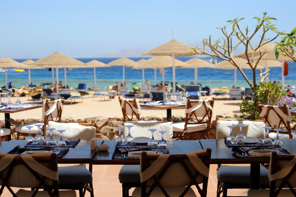 Domina King's & 5* Sharm el Sheikh