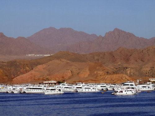 Aida Sheikh 2*