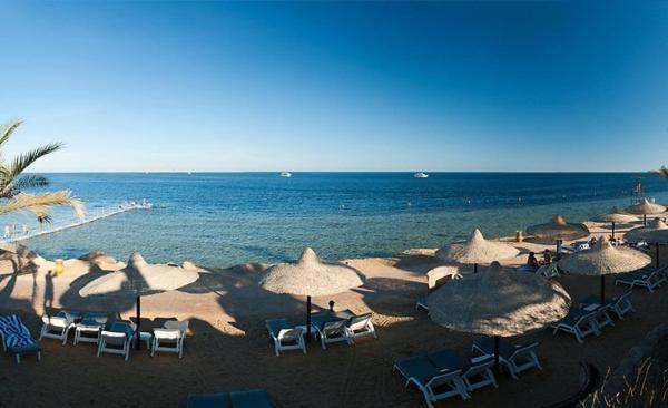 Aida Sheikh Sharm-el-Sheikh
