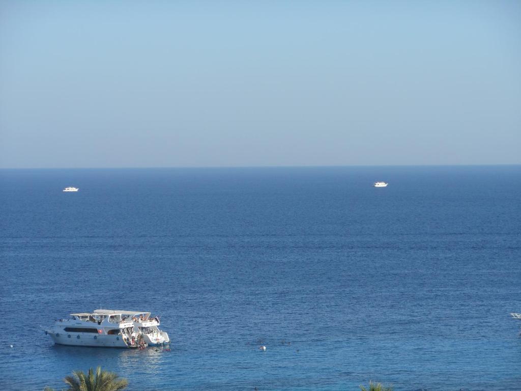 Aida Hotel Sharm El Sheikh 2*