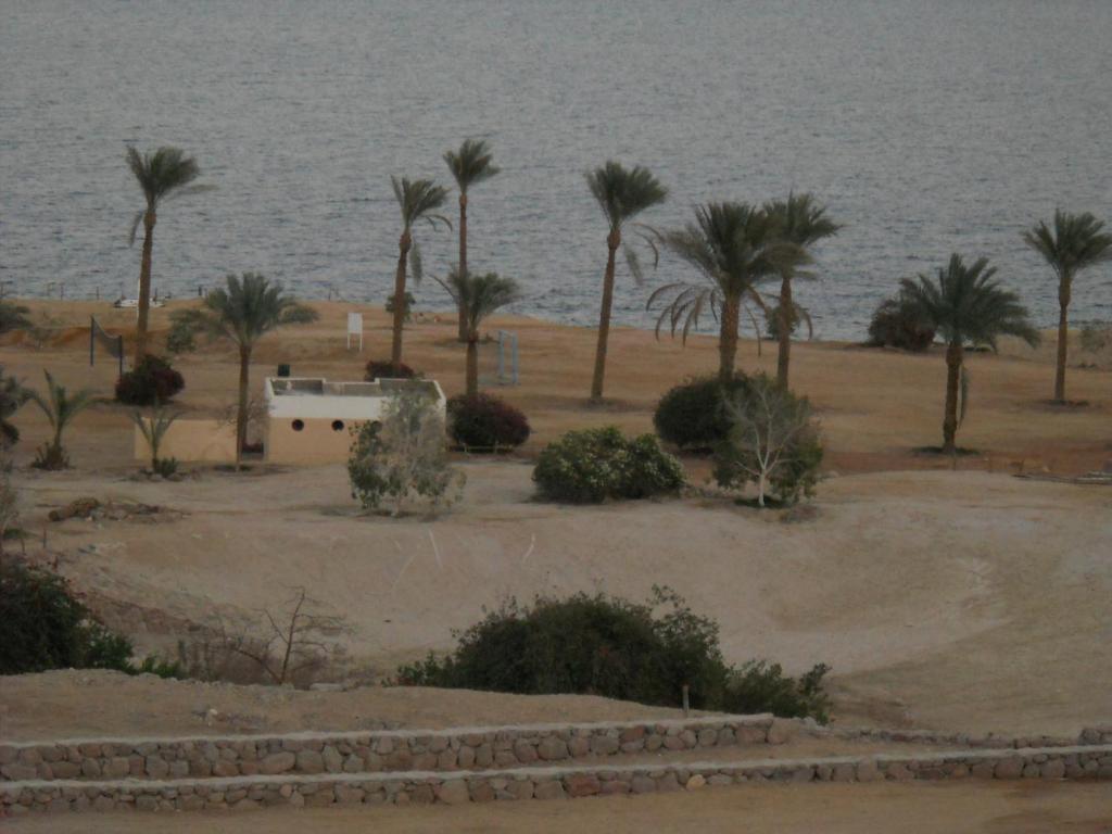Hotel Royal Paradise Sharm El-Sheikh