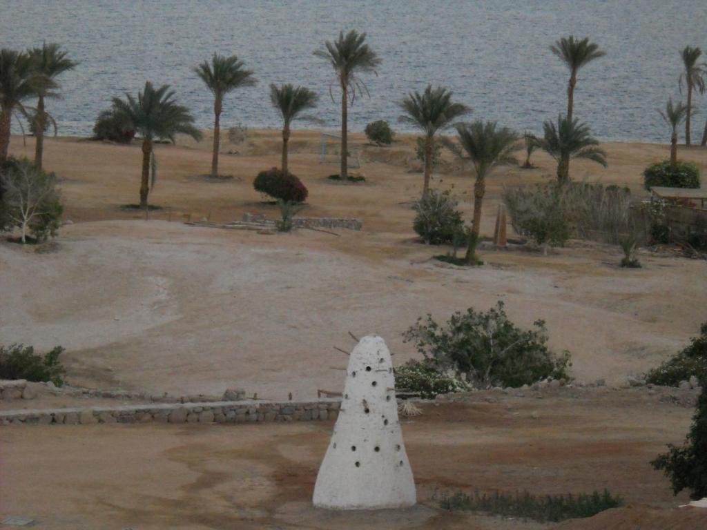 Hotel Royal Paradise Sharm El-Sheikh