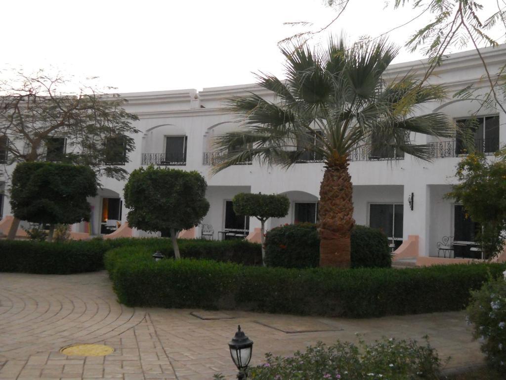 Royal Paradise