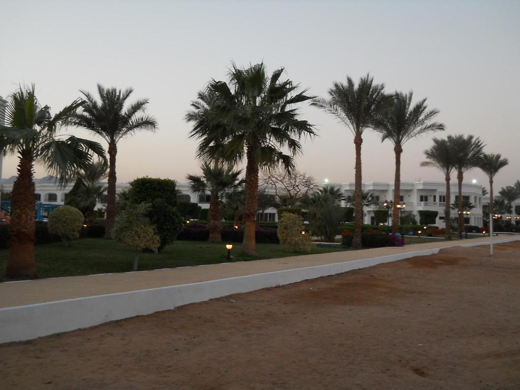 Royal Paradise 4* Sharm El-Sheikh