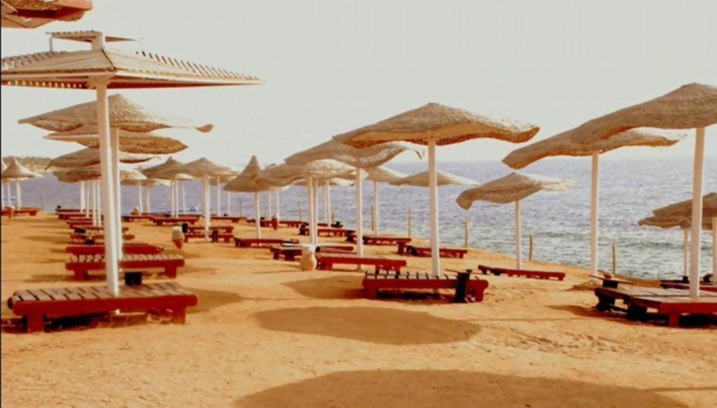 Royal Paradise Hotel