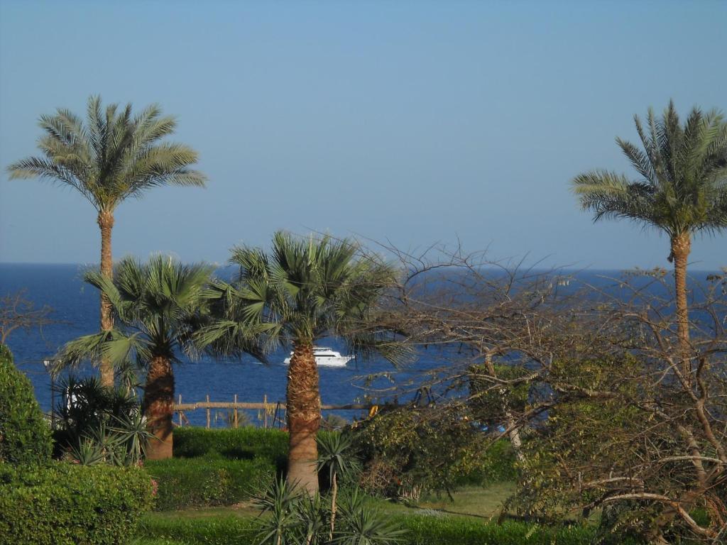 Royal Paradise Hotel