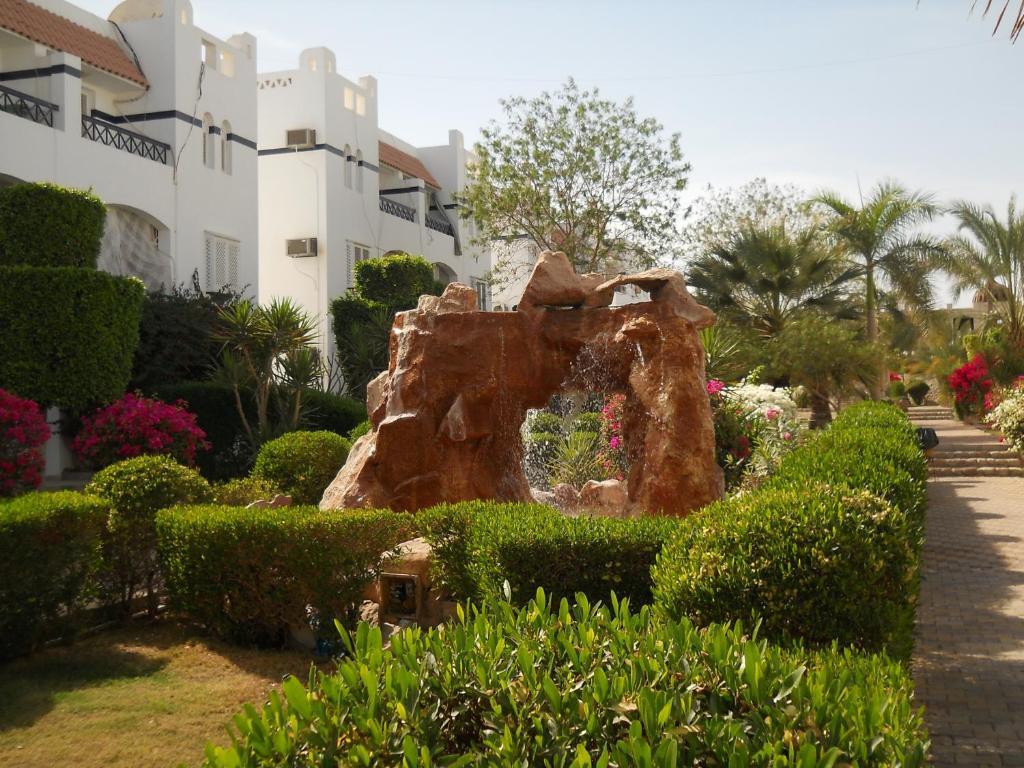 Rivera Habiba * Sharm el-Sheikh