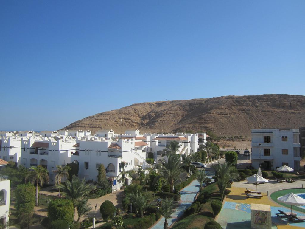 Rivera Habiba