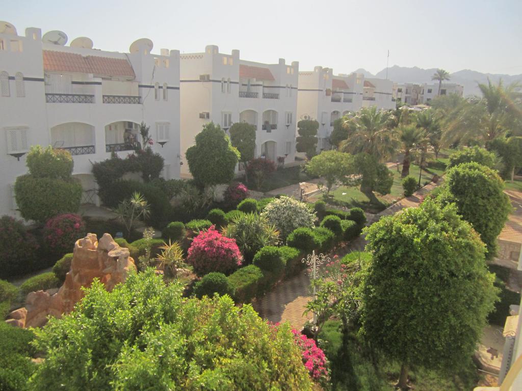 Rivera Habiba Apartment