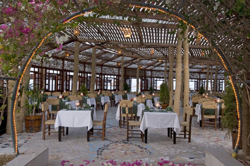 Resort Dreams Vacation - Sheikh