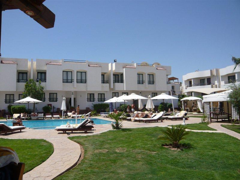 Viking Club Sheikh 4*