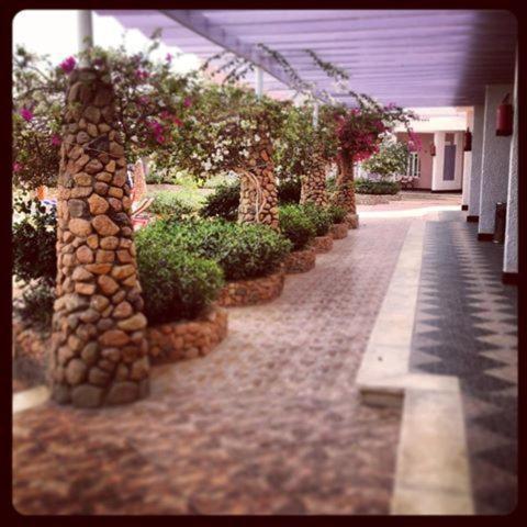 Hotel Aida Sheikh 2*