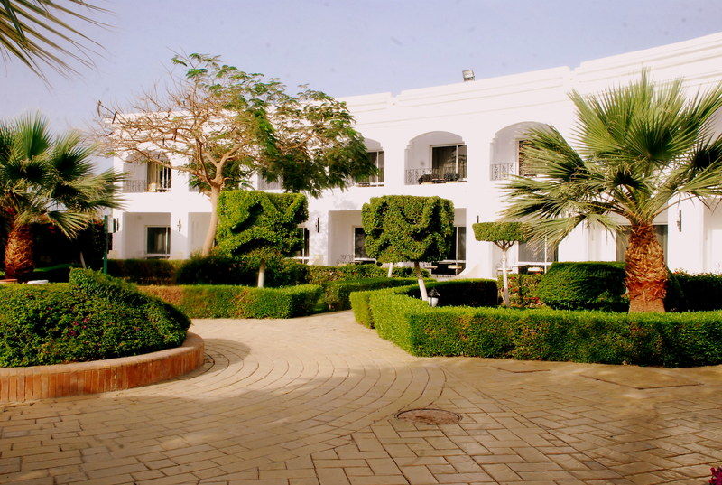 Royal Paradise Hotel 4*