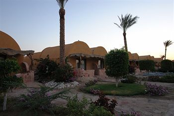 New Badawia 3* Sharm el-Sheikh