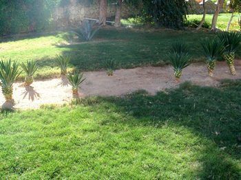 Resort Desert View