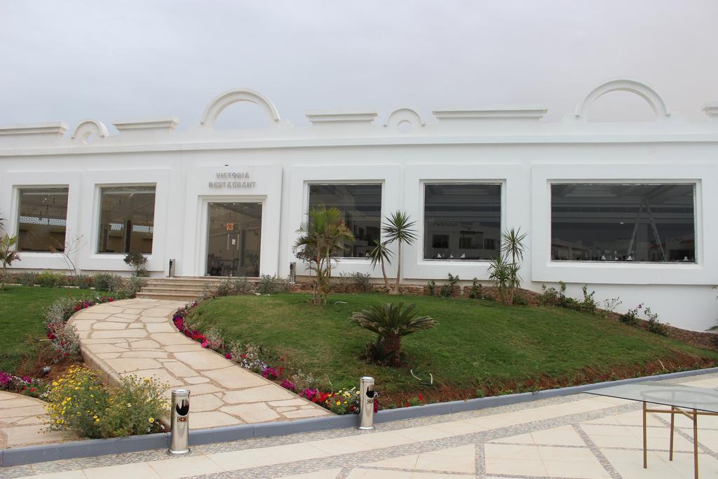 Old Vic Sharm
