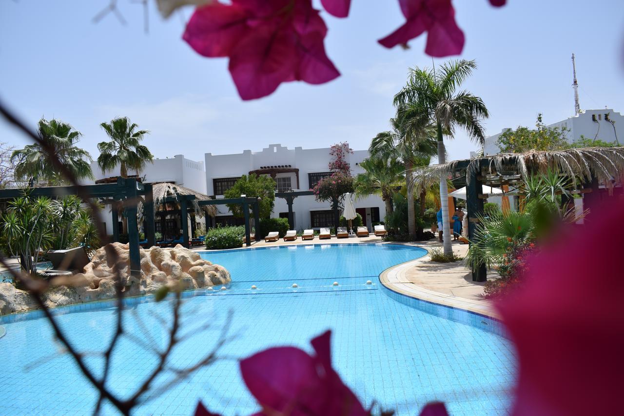 Apartment Studio In Delta Sharm El-Sheikh
