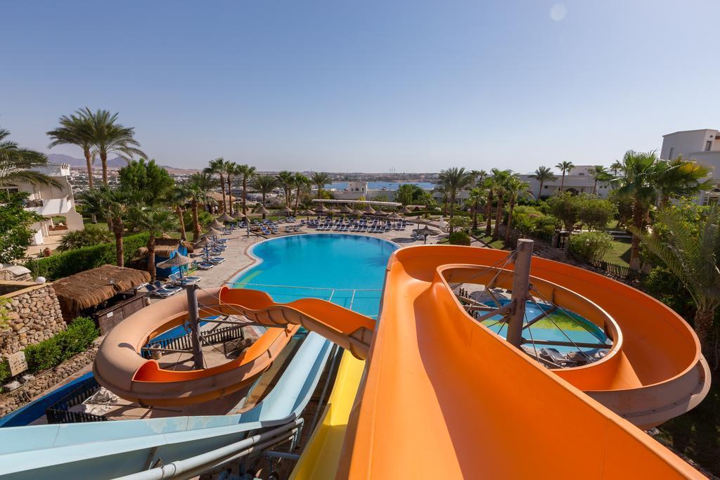 Apartment Rodan Naama Bay