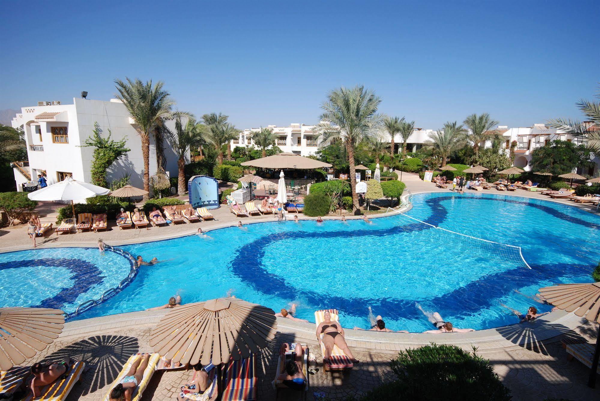 Dive 3* Sharm El Sheikk