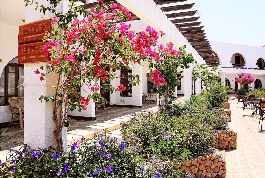 Hotel Aida Sheikh 2*