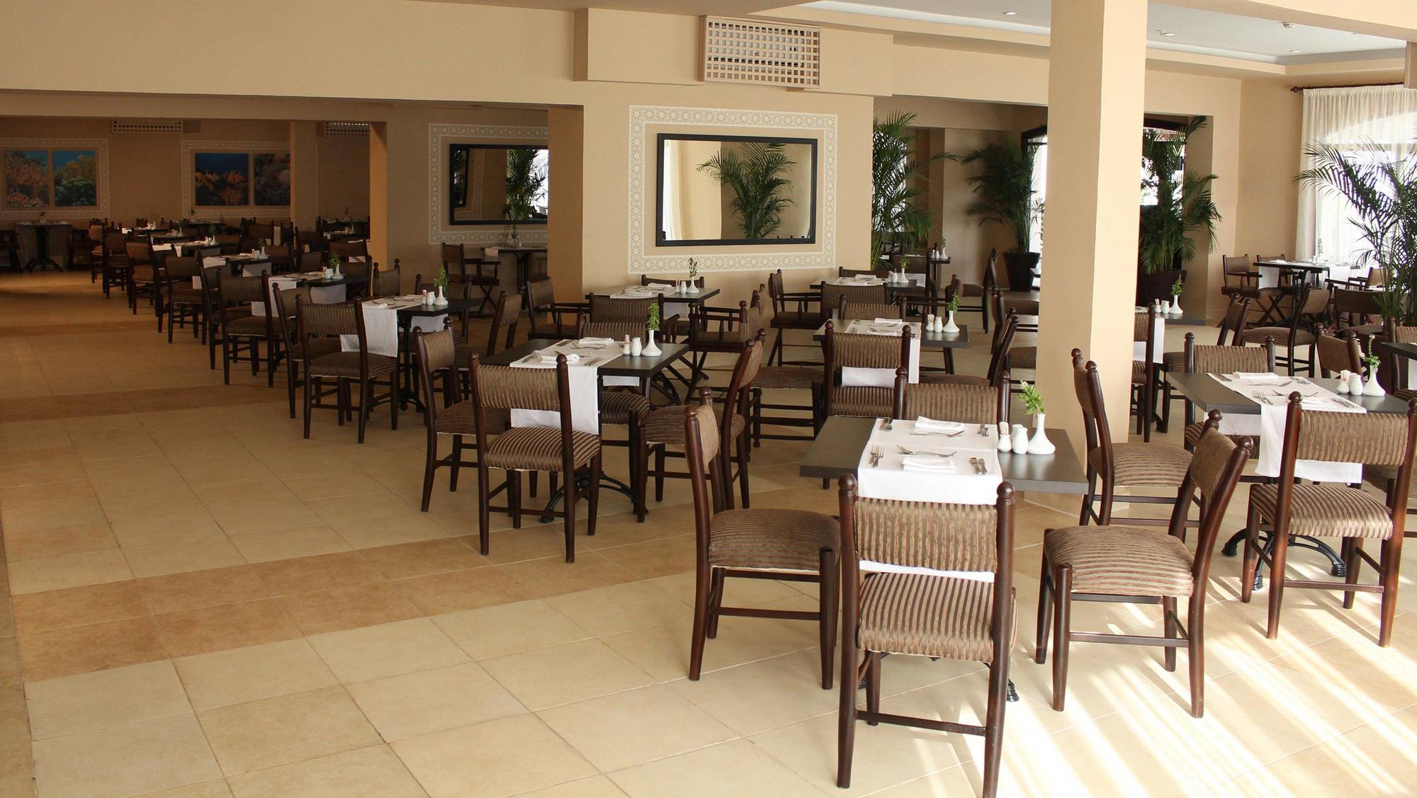 Jaz Neo Naama Bay Resort