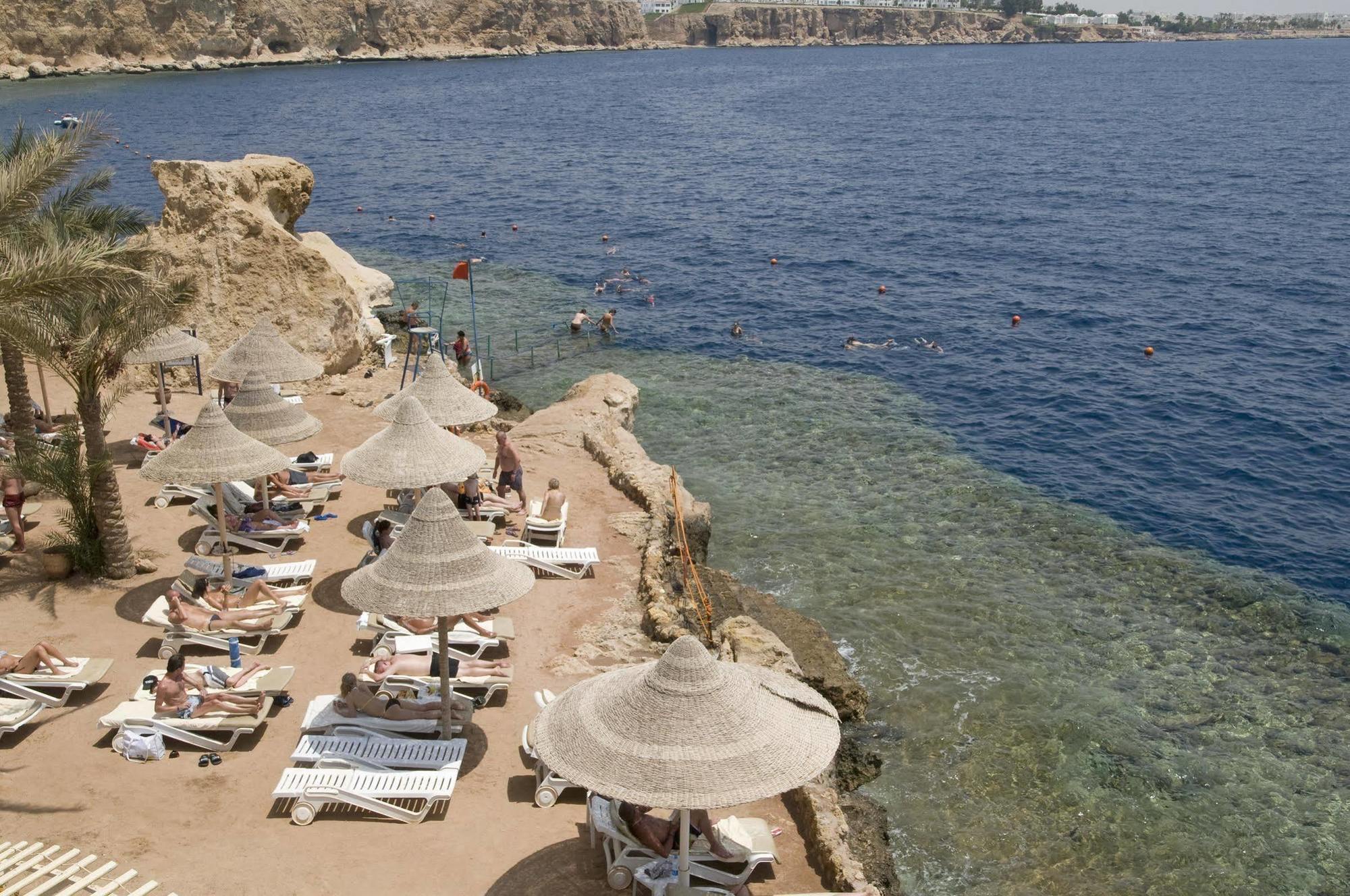 Resort Dreams - Sheikh 5*