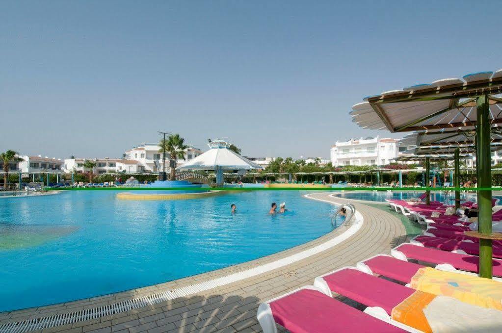 Dreams - Sheikh Resort