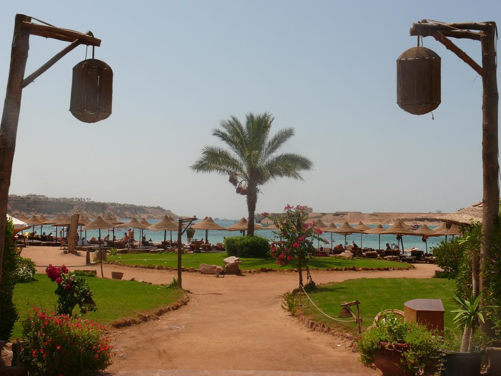 Regency Sharm Hotel Resort Sharm el Sheikh