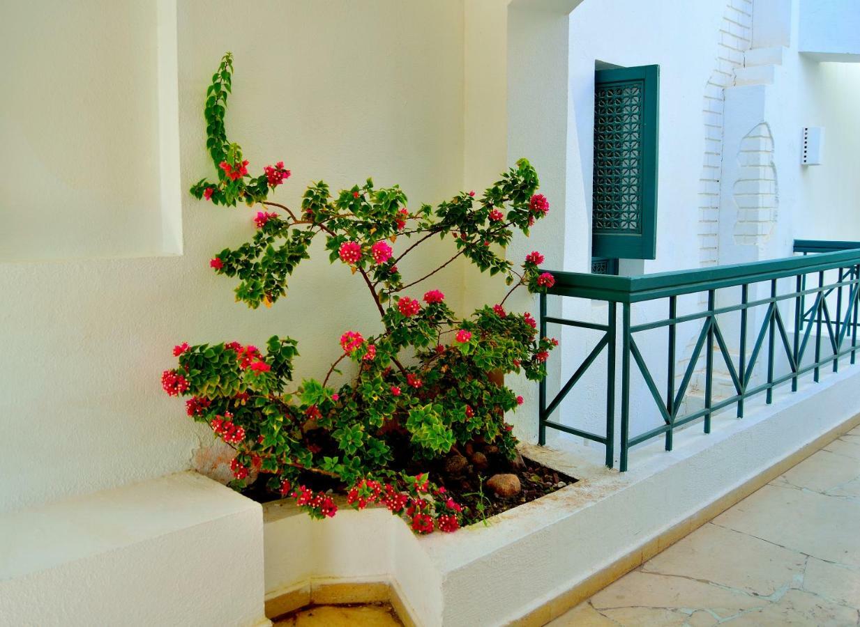 Jaz Neo Naama Bay Resort Sharm el-Sheikh