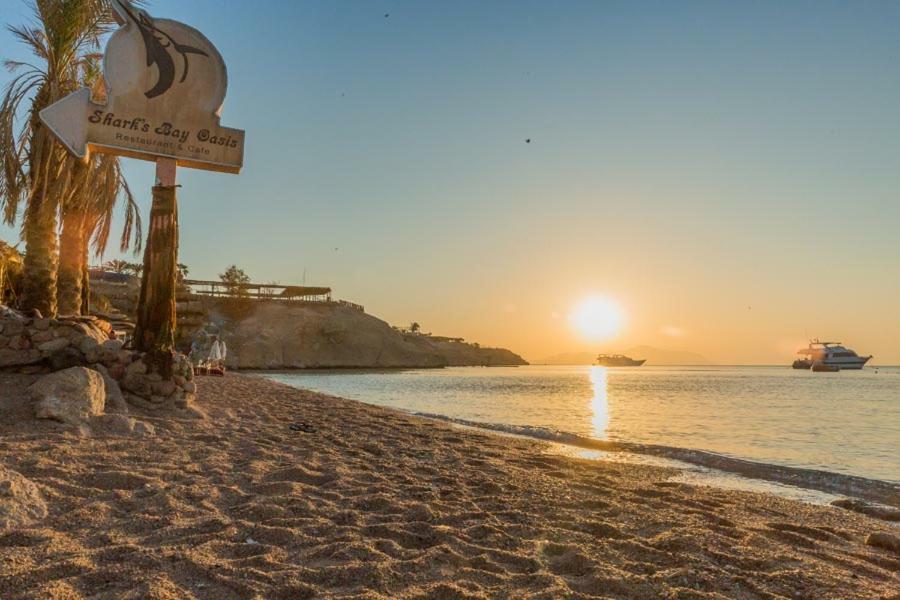 Resort Sharks Bay Oasis Aqua Park 3*