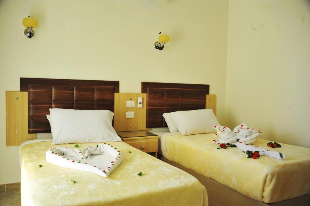 Sharks Bay Oasis Aqua Park 3* Sharm-el-Sheikh