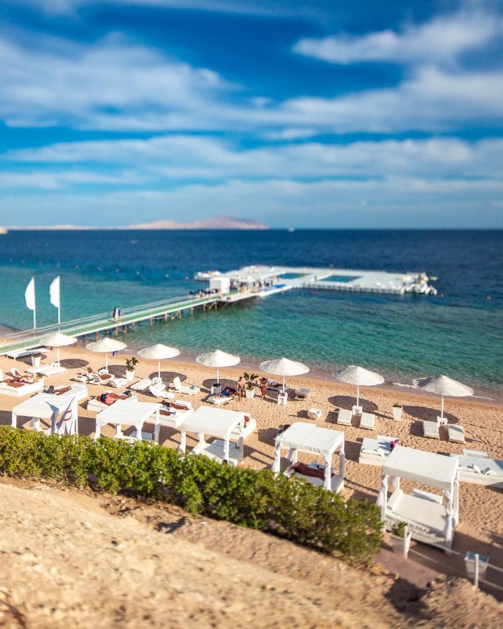 Resort Domina King's & Sharm el Sheikh