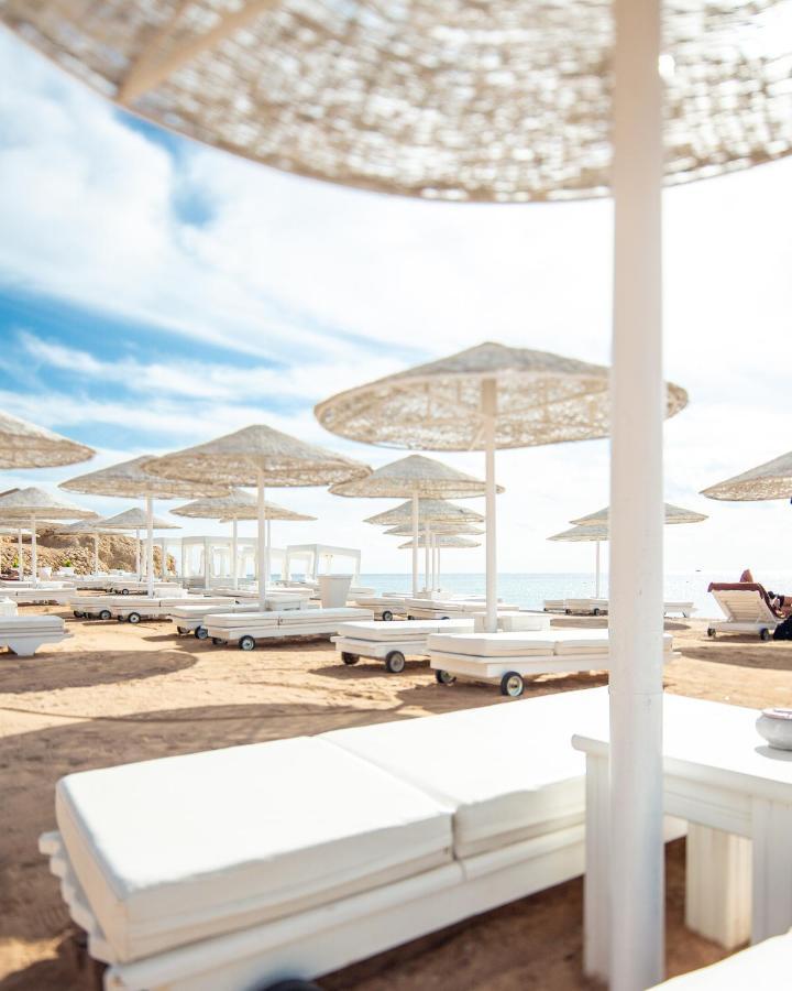 Resort Domina King's &