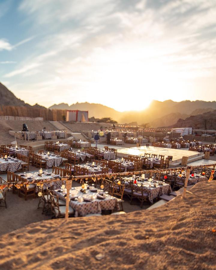 Domina King's & Sharm el Sheikh