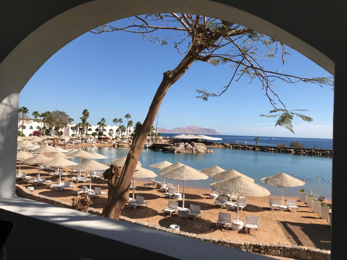 Domina King's & 5* Sharm el Sheikh