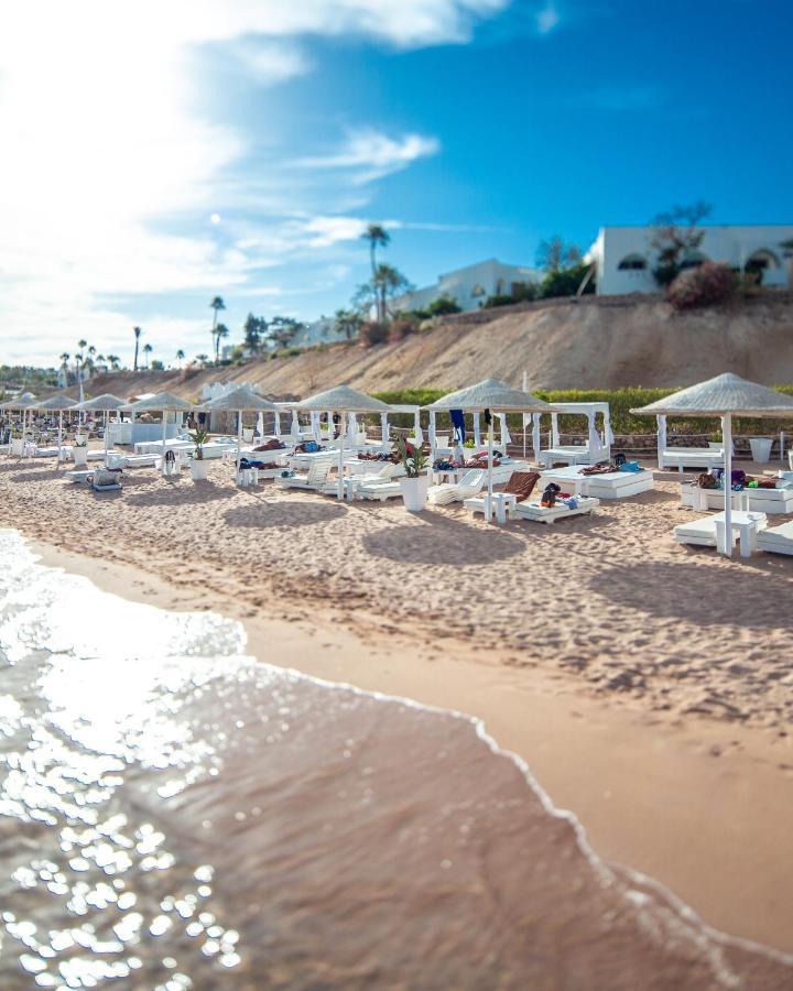 Resort Domina King's & Sharm el Sheikh
