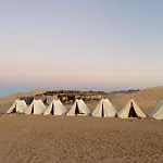 Blend In Nature Camp