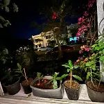 Delta Sharm Resort