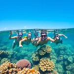 Red Sea Excursion