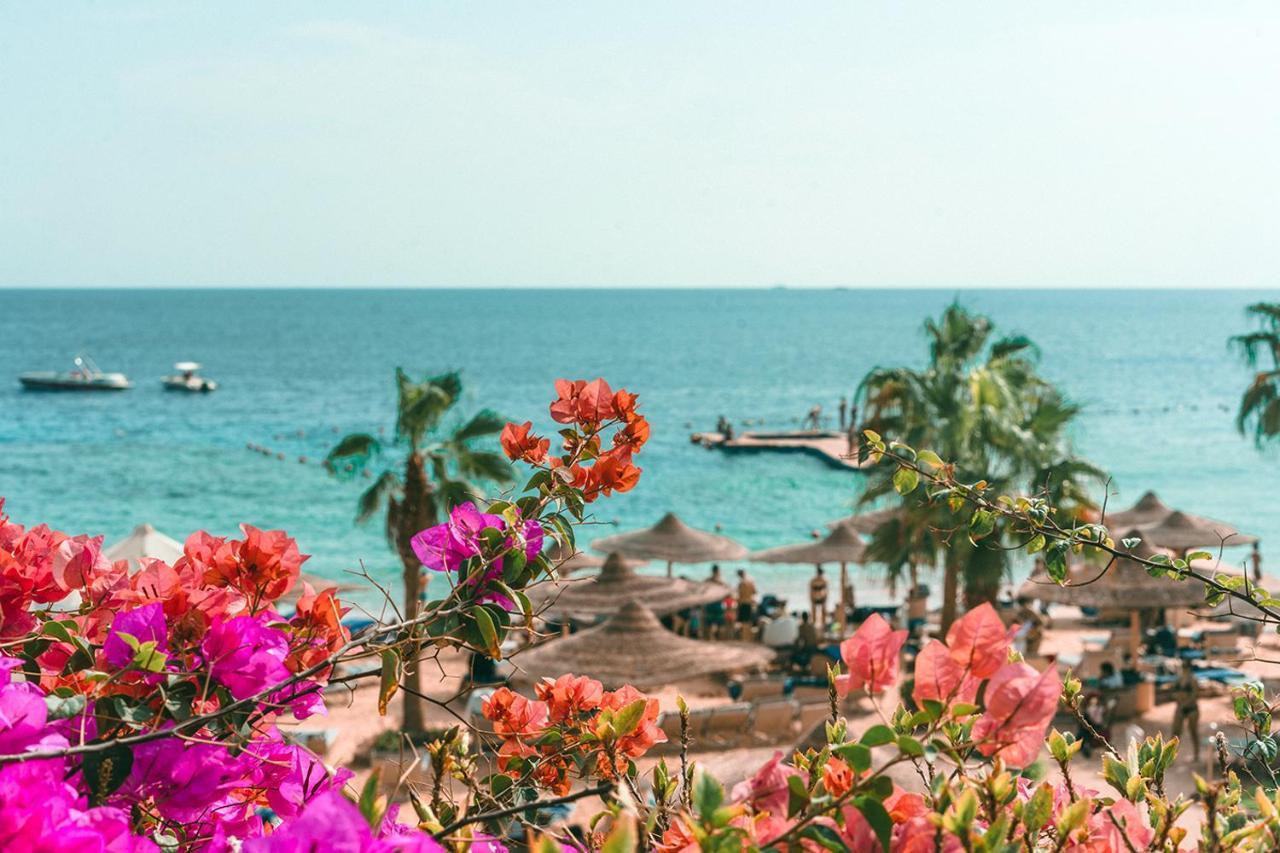 Royal Savoy Sheikh (adults Only) 5* Sharm el-Sheikh