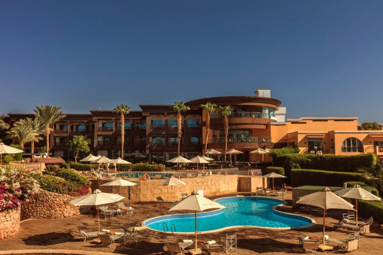 Royal Savoy Sheikh (adults Only)