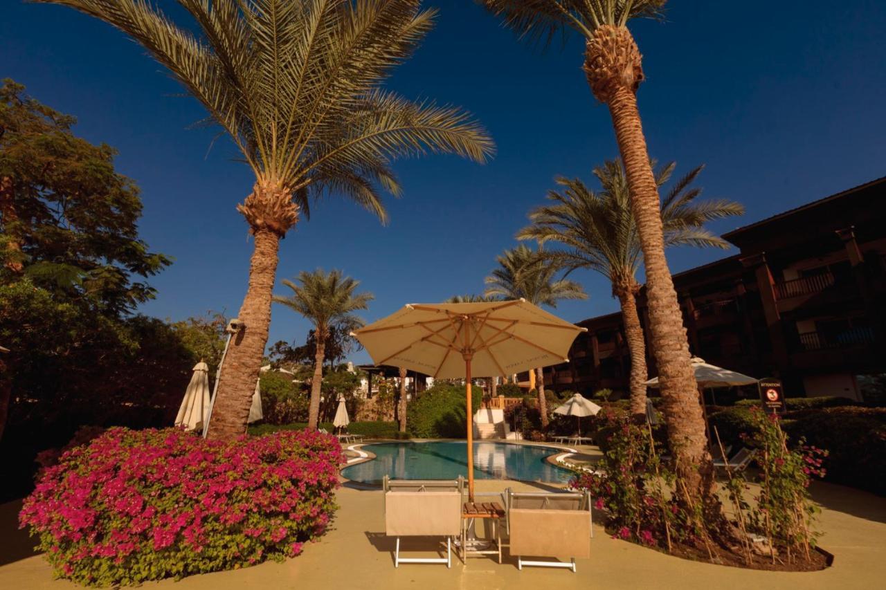 Resort Royal Savoy Sheikh (adults Only)