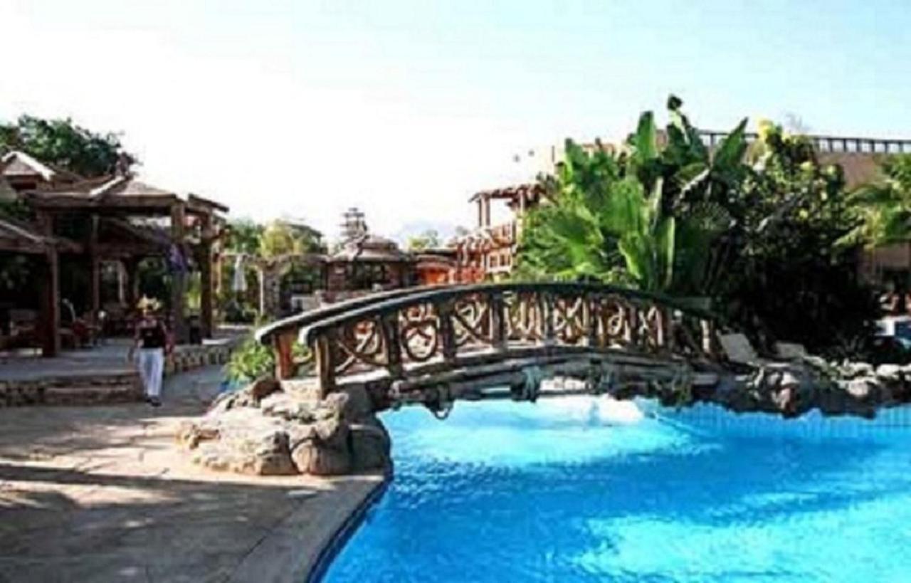 Holidays Daire *