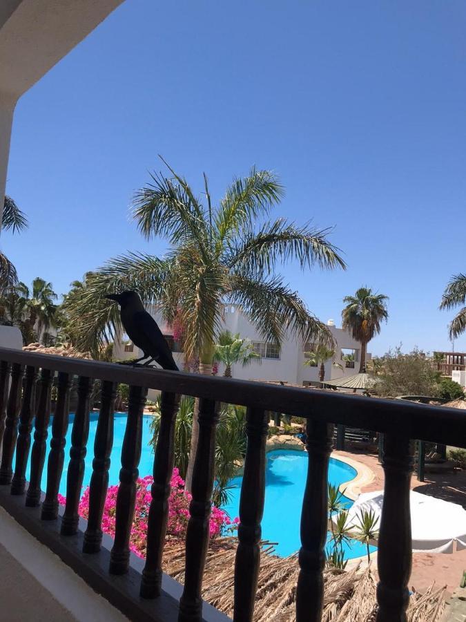 Daire Holidays