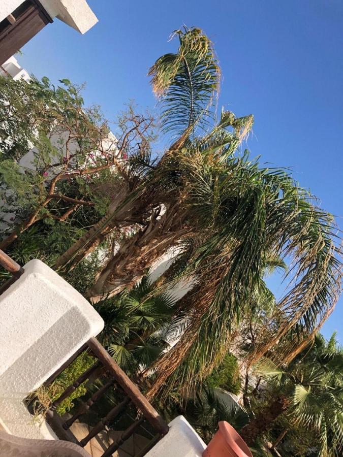 Holidays Daire