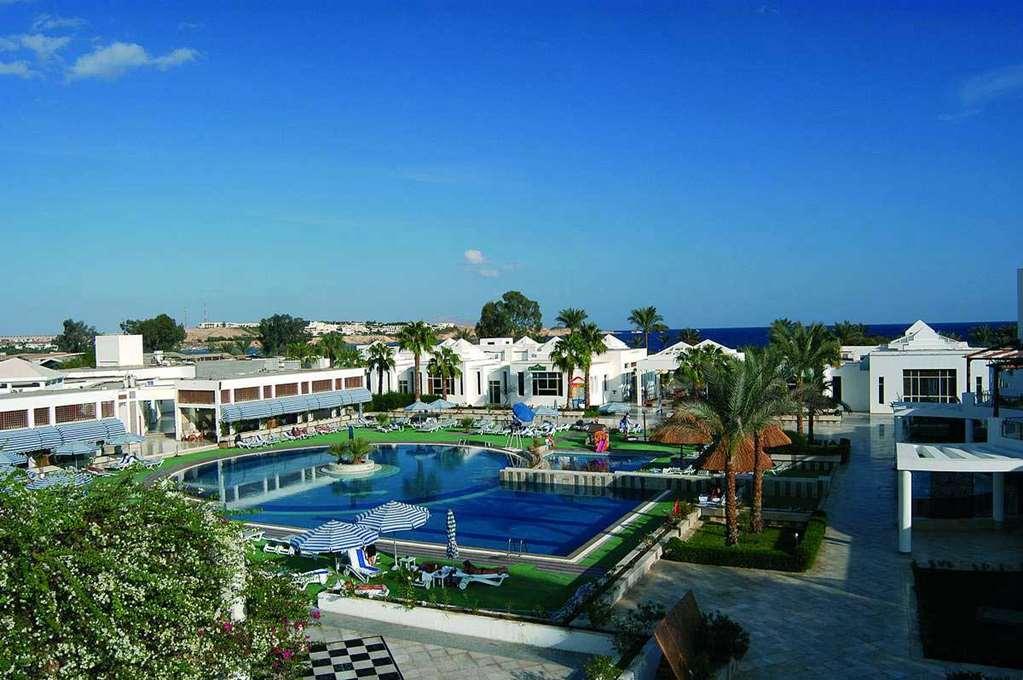 Jolie And Casino Sheikh * Sharm el-Sheikh