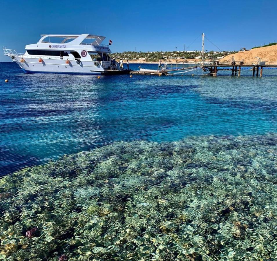 Resort Domina Coral Bay Elisir Sharm el Sheikh