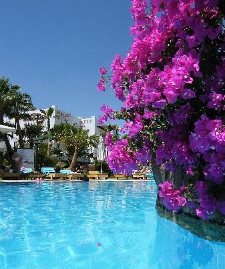 Delta Holiday home *