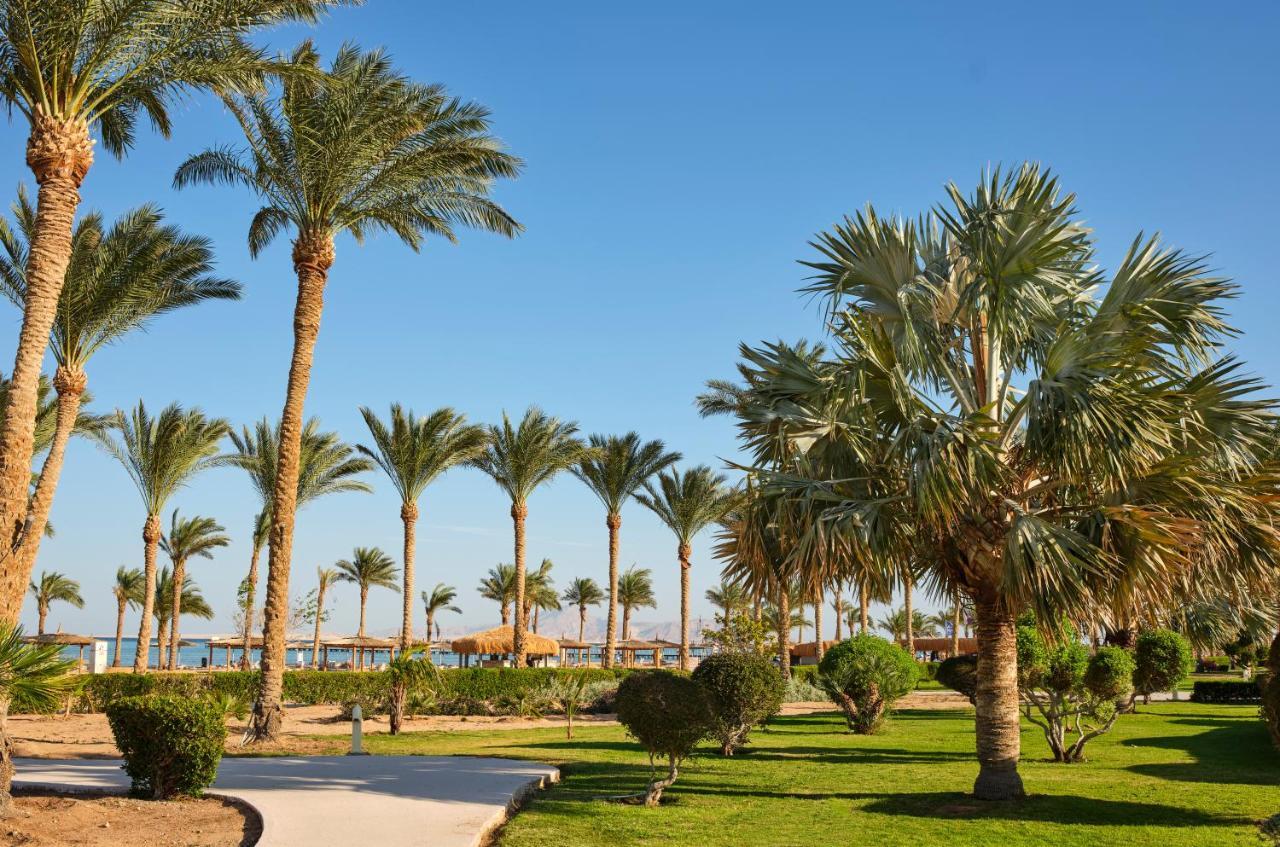 Resort Coral Sea Waterworld Sheikh 5*