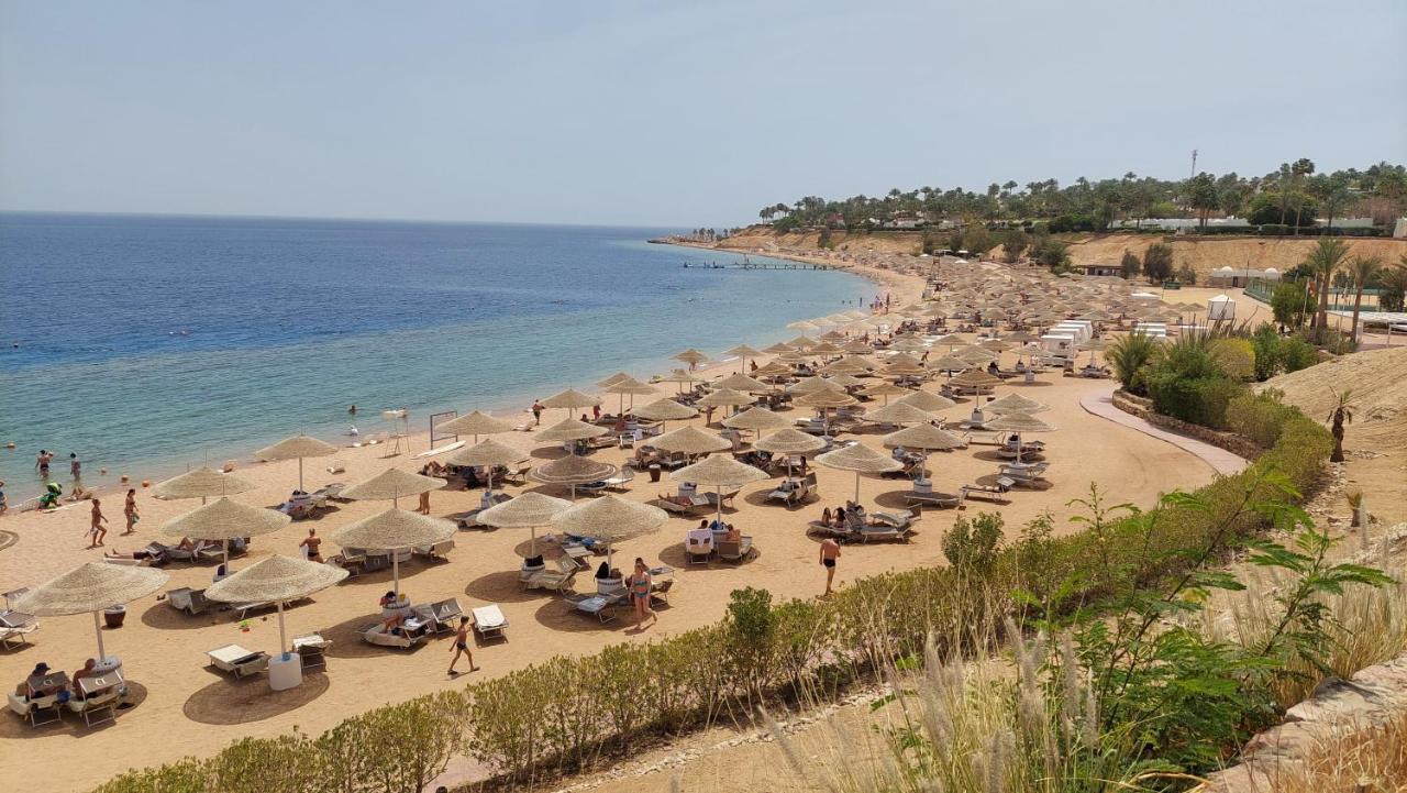 Collemare Coralbay Daire *